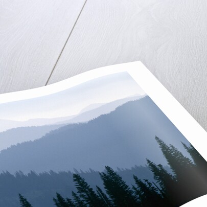 Fog in Cascade Range by Anonymous