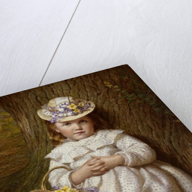 Primroses and Bluebells by Samuel Sidley