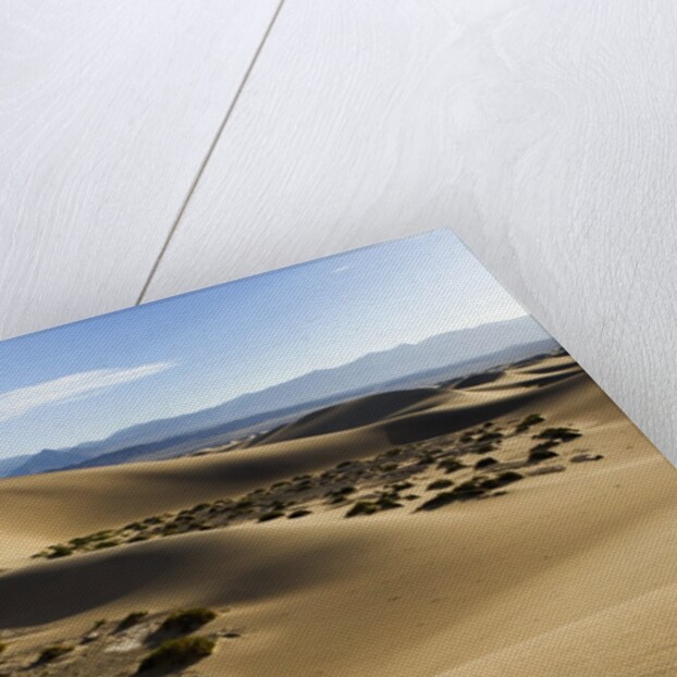 Death Valley by Anonymous