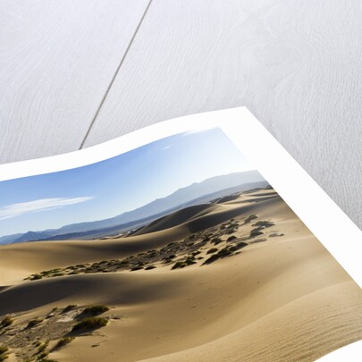 Death Valley by Anonymous