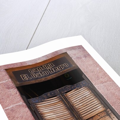 Saloon Doors on Cantina by Anonymous