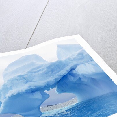 Fantastically Shaped Iceberg by Anonymous