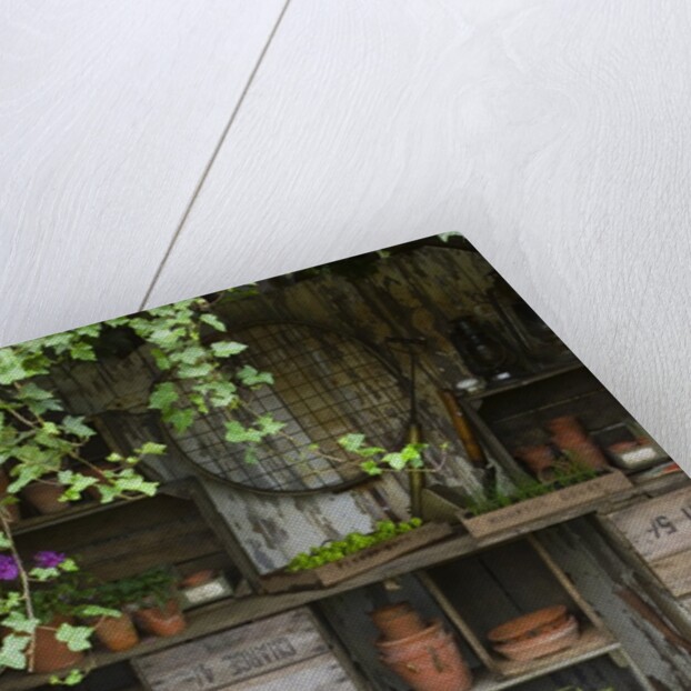 Potting Shed in Garden at Hampton Court Flower Show by Anonymous