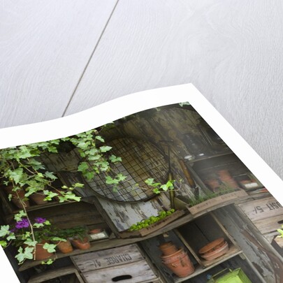 Potting Shed in Garden at Hampton Court Flower Show by Anonymous