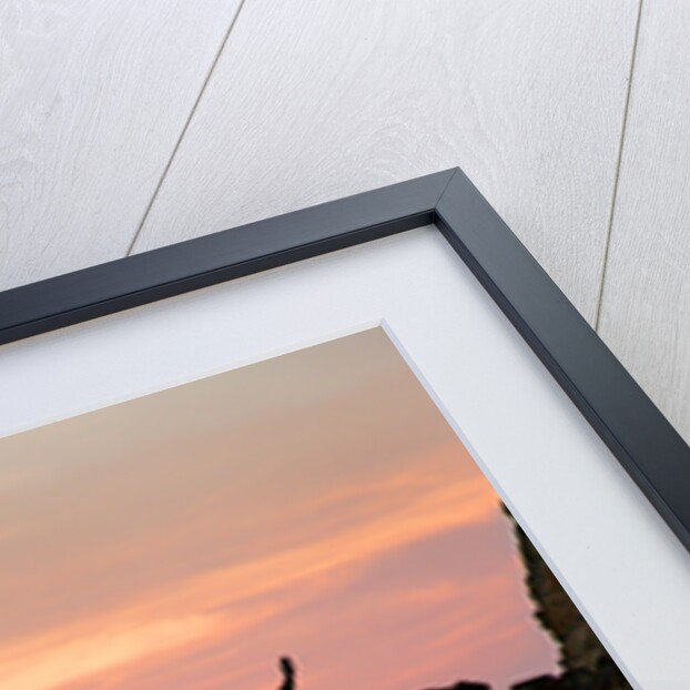 Acapulco Cliff Divers at Sunset by Anonymous