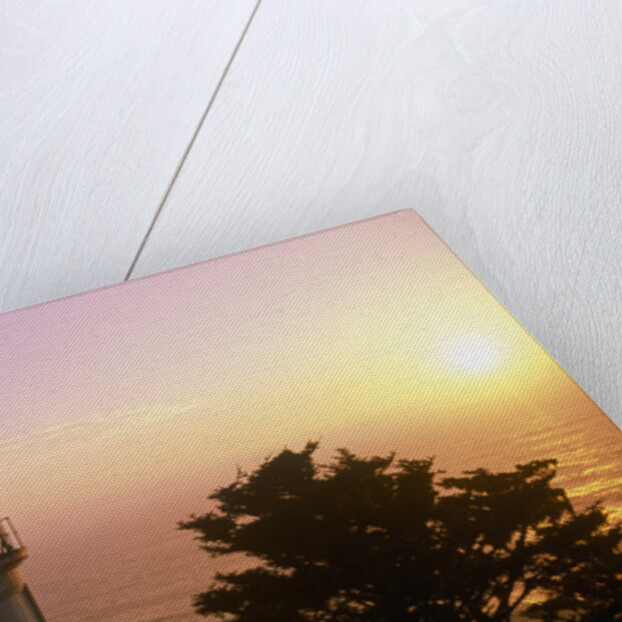 Sunset at Heceta Head Lighthouse in Oregon by Anonymous