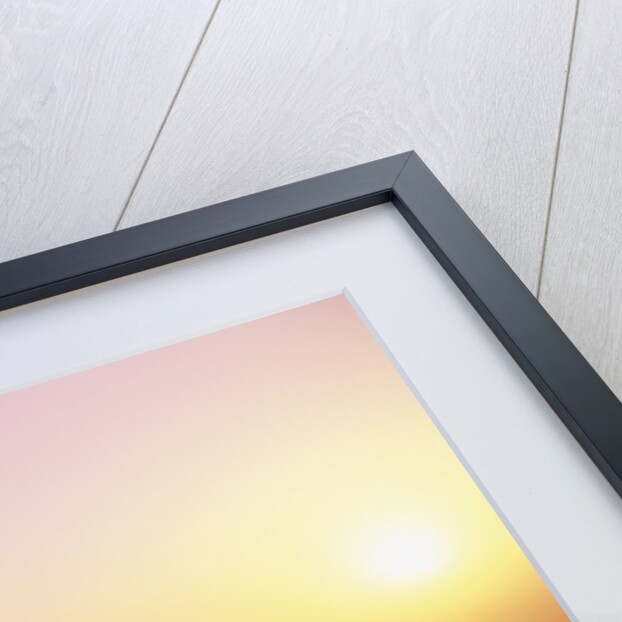 Sunset at Heceta Head Lighthouse in Oregon by Anonymous