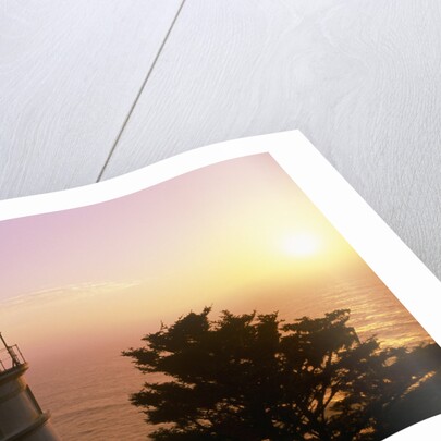 Sunset at Heceta Head Lighthouse in Oregon by Anonymous