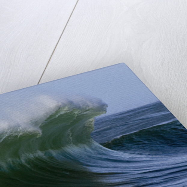 Large Wave at the Oregon Coast by Anonymous