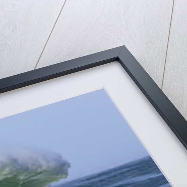 Large Wave at the Oregon Coast by Anonymous
