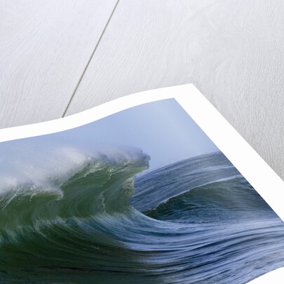 Large Wave at the Oregon Coast by Anonymous