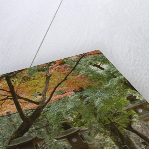 Lanterns at Kasuga Taishi Shine by Anonymous