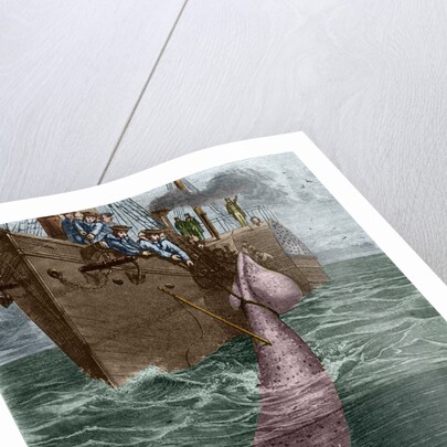 Illustration of the Crew of the Alecton Attempting to Catch a Giant Squid by Anonymous