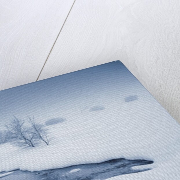 View of winter landscape by Anonymous