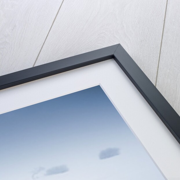 View of winter landscape by Anonymous