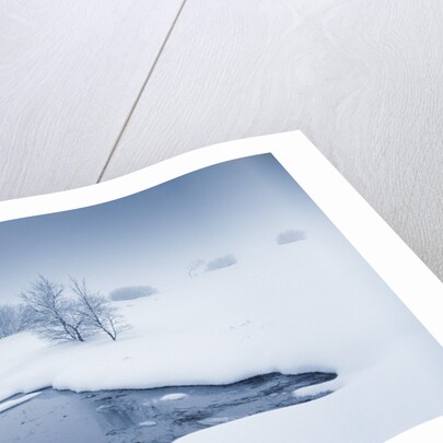 View of winter landscape by Anonymous