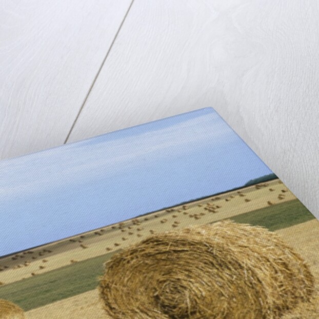 View of a field of haystacks by Anonymous