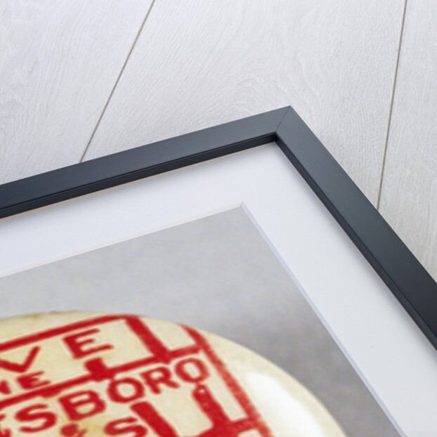 Save The Scottsboro Boys Button by Anonymous