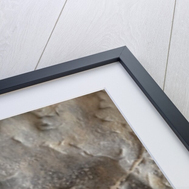 The Mouth of Truth at the Church of Santa Maria in Cosmedin, Rome, Italy by Anonymous