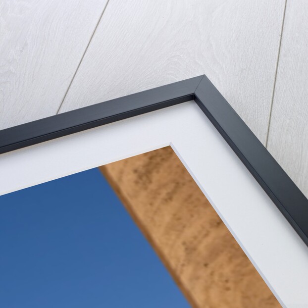 St.Peter's Basilica, The Vatican, with columns in the foreground, Rome, Italy by Anonymous