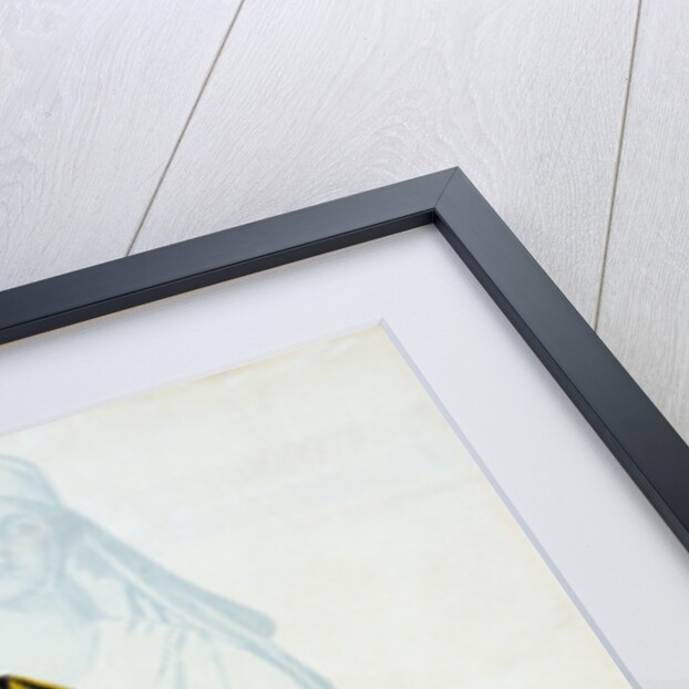 Red Cross Annual Roll Call Poster by Anonymous