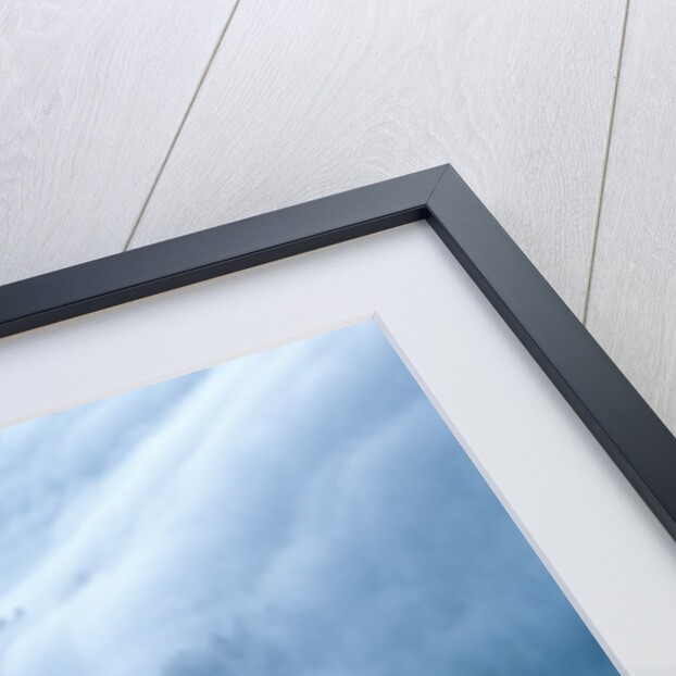 Fog in the Smokey Mountains by Anonymous