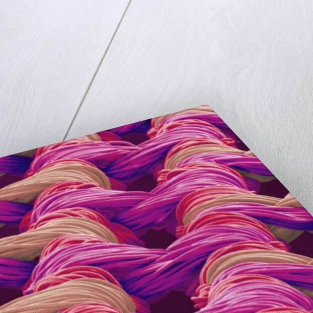 Polyester and Nylon Cloth of Woman's Bodybriefer by Anonymous