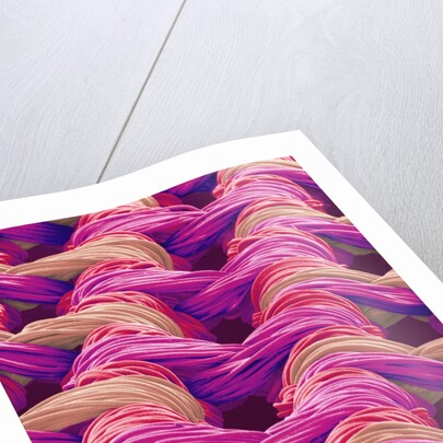 Polyester and Nylon Cloth of Woman's Bodybriefer by Anonymous