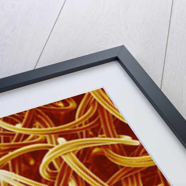 Panty Hose by Anonymous