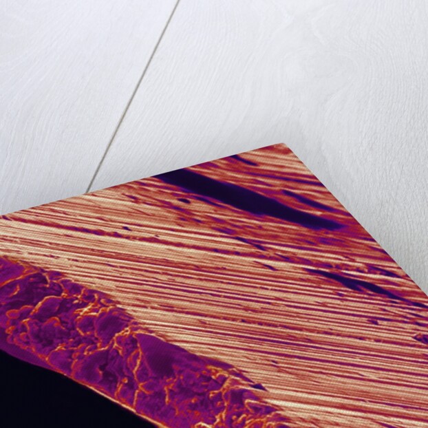 Cutting Edge of Used Razor Blade by Anonymous