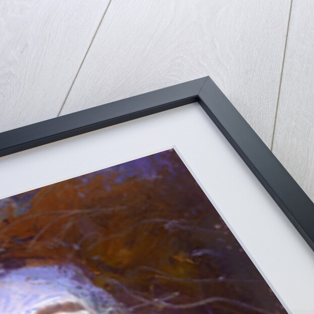 Wolfgang by Lou Wall