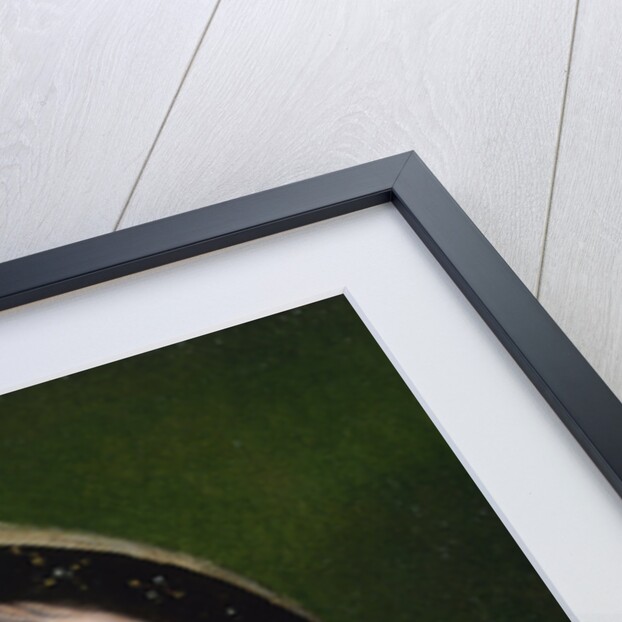 Portrait of King Francis I of France by Joos van Cleve