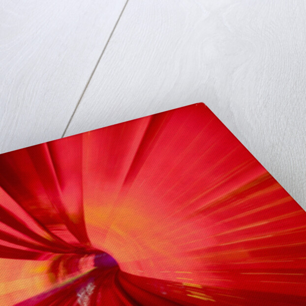 Bund Sightseeing Tunnel by Anonymous