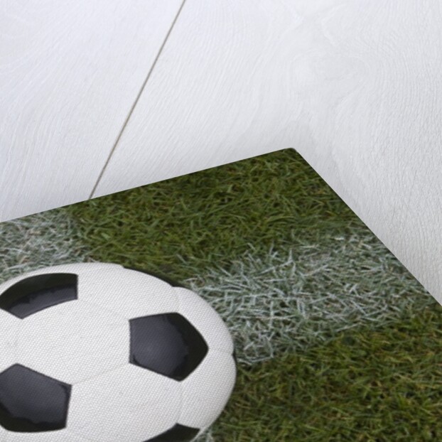 Soccer Ball by Anonymous