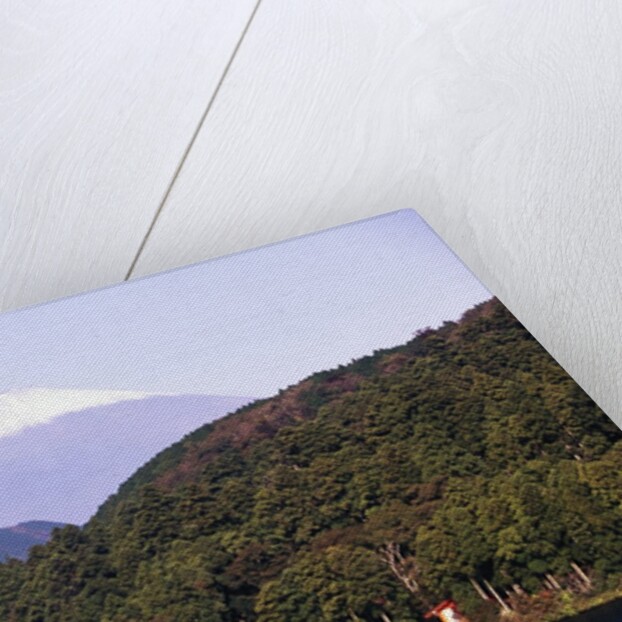 Shinto Shrine on Shore of Lake Ashi by Anonymous