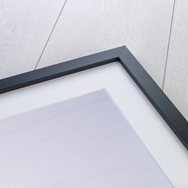 Emperor pinguins standing in a row, side view by Anonymous