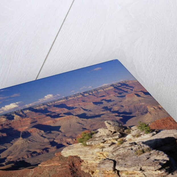 South Rim of Grand Canyon by Anonymous