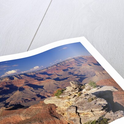 South Rim of Grand Canyon by Anonymous