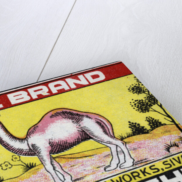 Camel Brand Indian Matchbox Label by Anonymous