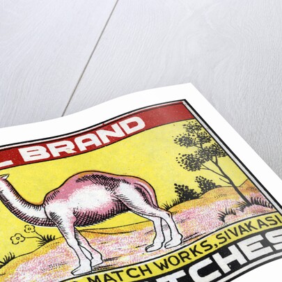 Camel Brand Indian Matchbox Label by Anonymous