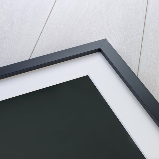 Whippet by Anonymous