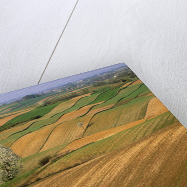 Agricultural Fields on Farm by Anonymous