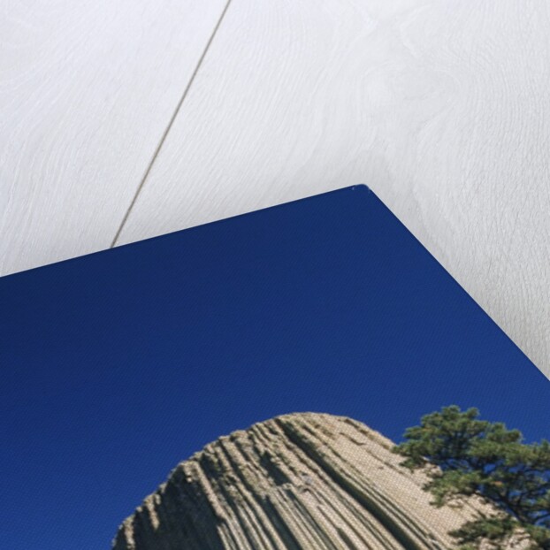 Devil's Tower by Anonymous