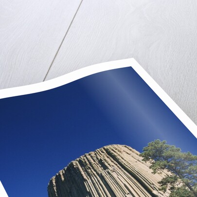 Devil's Tower by Anonymous