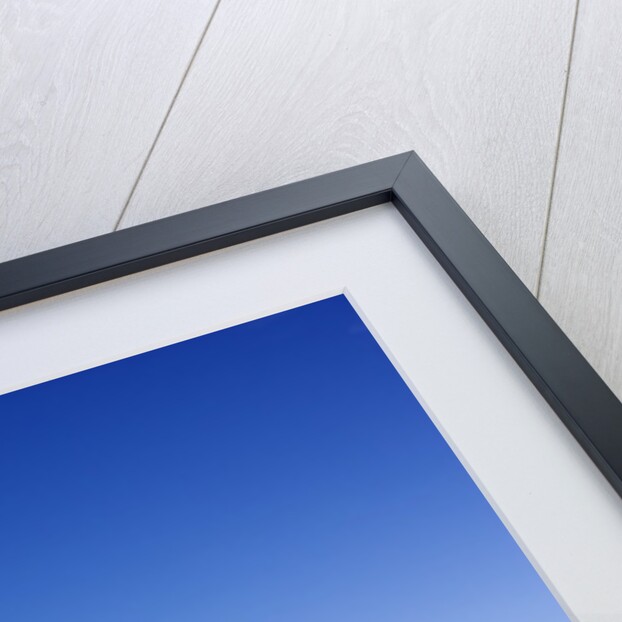 Sand and Sky by Anonymous