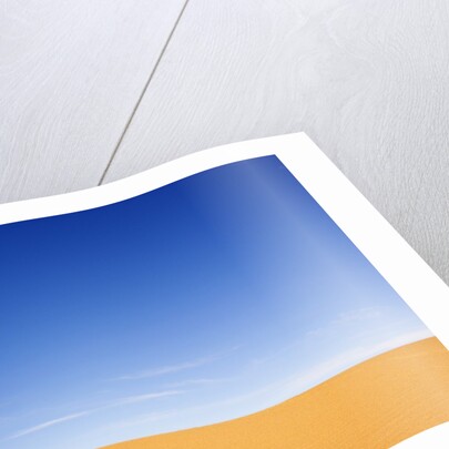 Sand and Sky by Anonymous