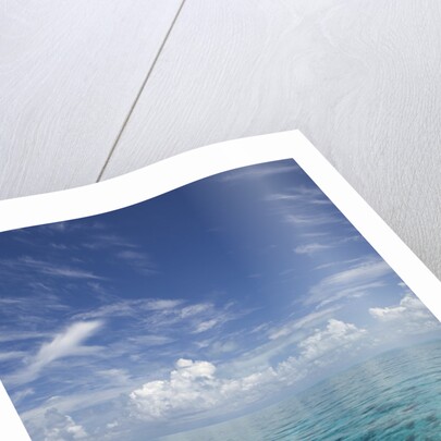 Calm Ocean Water in the Bahamas by Anonymous