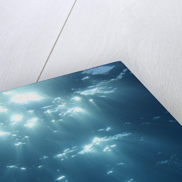Sunbeams From Underwater by Anonymous