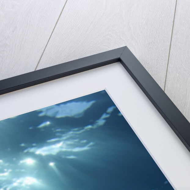 Sunbeams From Underwater by Anonymous