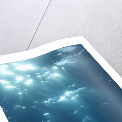 Sunbeams From Underwater by Anonymous